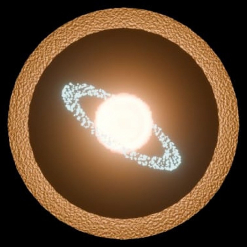 ROBERTO FELIPOZZI FICCIONISCO UNIVERSAL